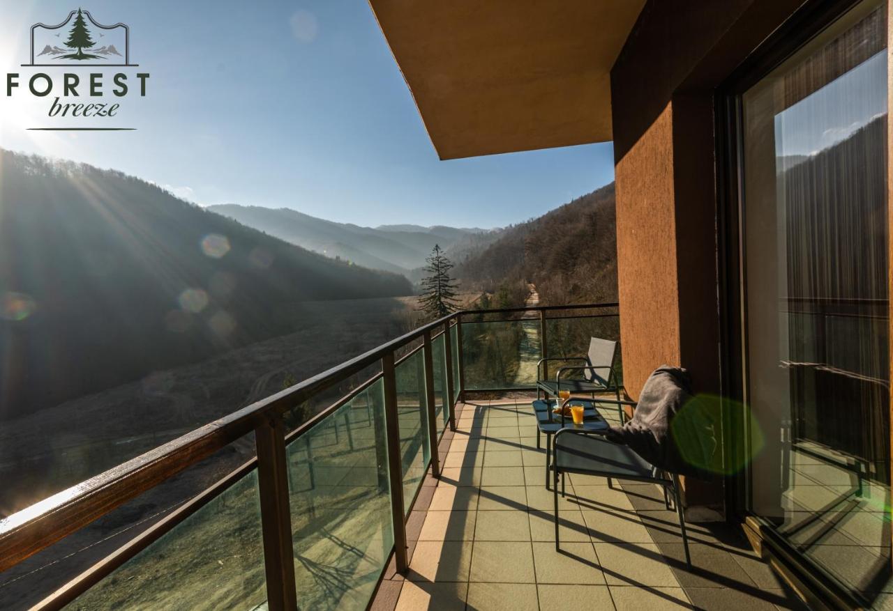 Forest Breeze Apartterrace Braşov Esterno foto