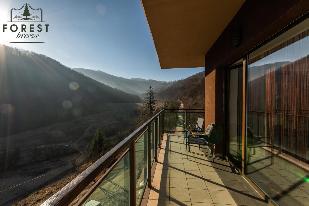 Forest Breeze Apartterrace Braşov Esterno foto