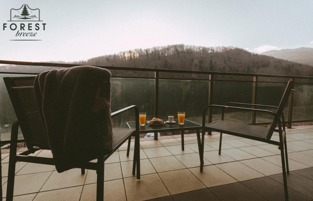 Forest Breeze Apartterrace Braşov Esterno foto