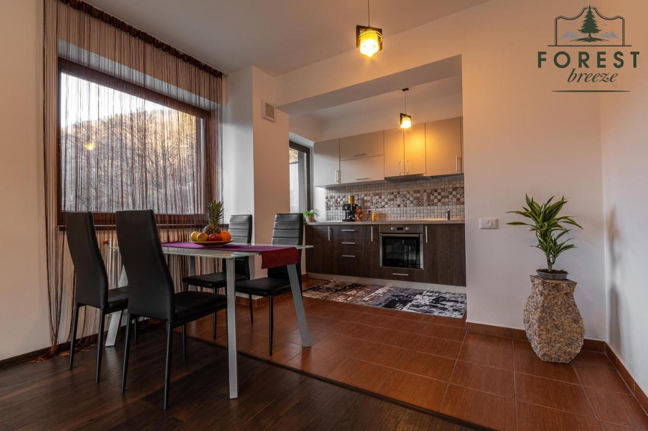 Forest Breeze Apartterrace Braşov Esterno foto