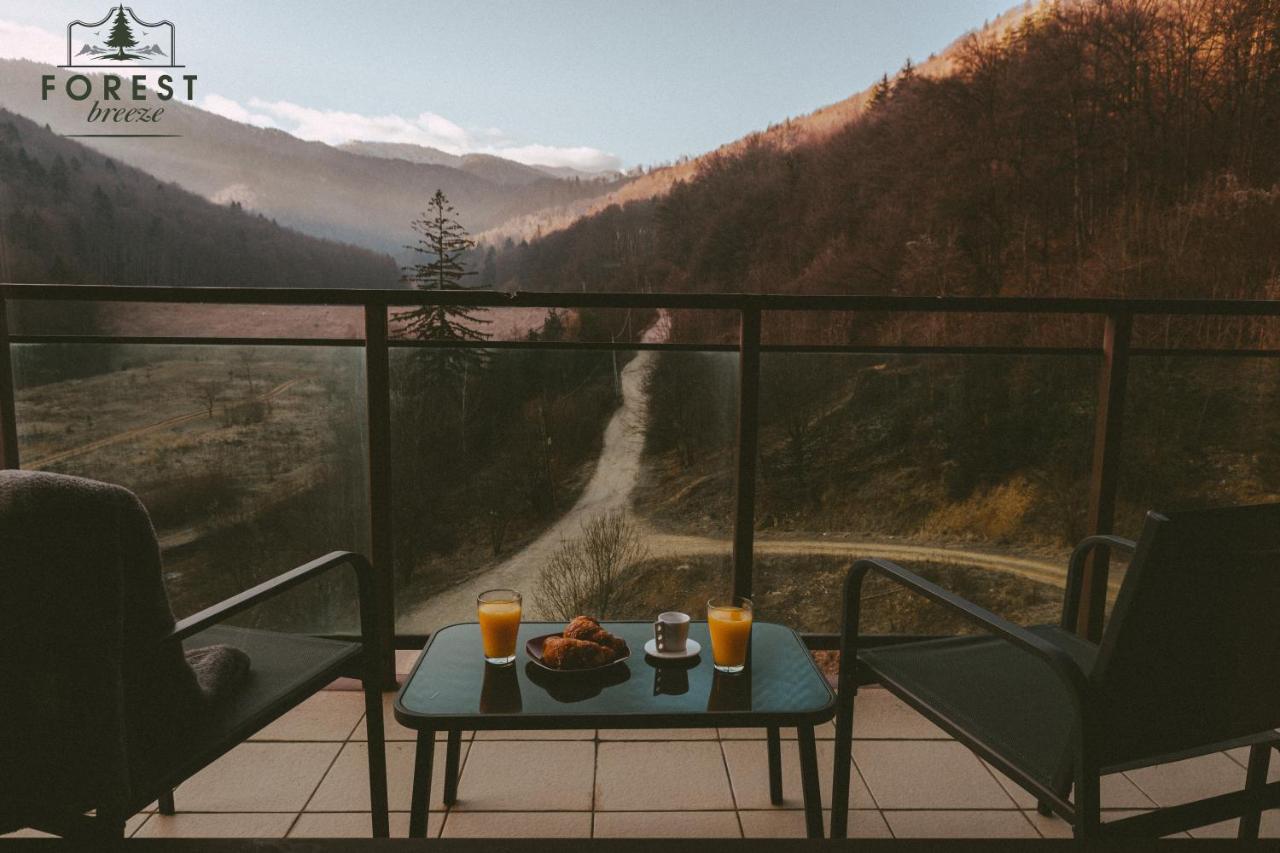 Forest Breeze Apartterrace Braşov Esterno foto