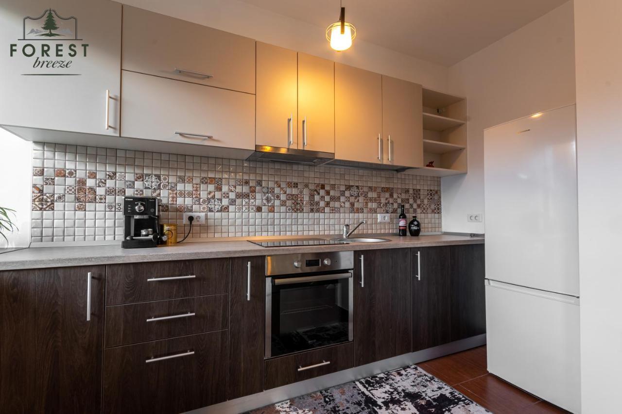 Forest Breeze Apartterrace Braşov Esterno foto