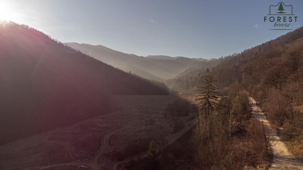 Forest Breeze Apartterrace Braşov Esterno foto