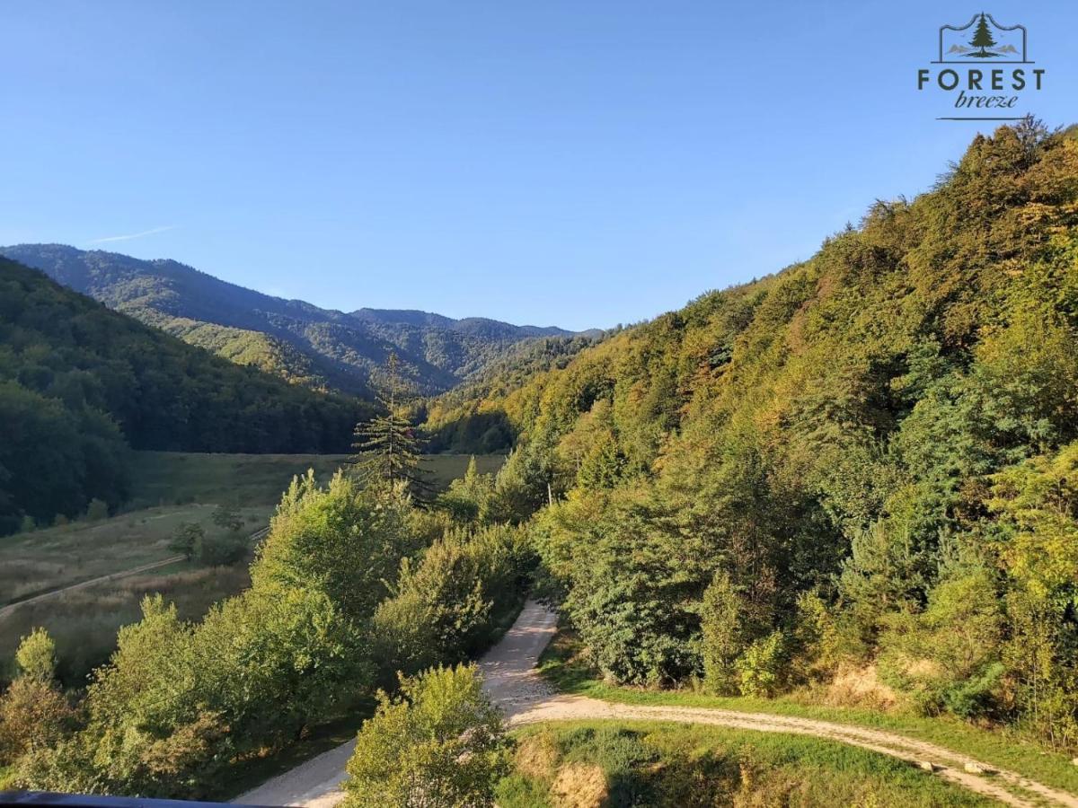Forest Breeze Apartterrace Braşov Esterno foto