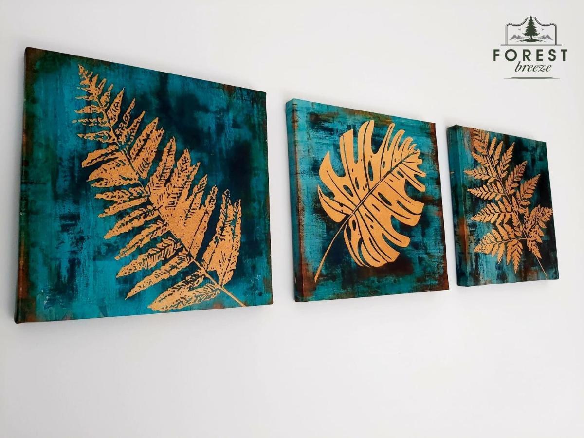 Forest Breeze Apartterrace Braşov Esterno foto