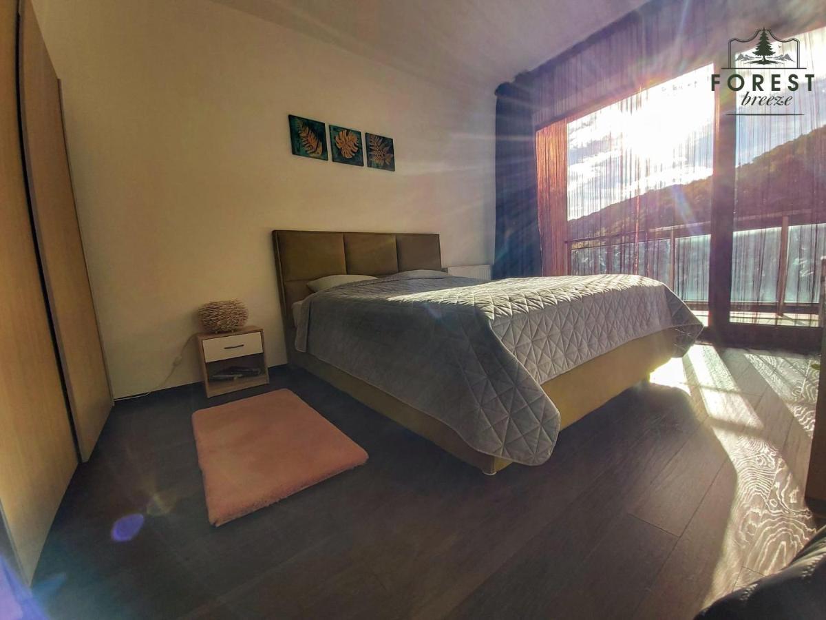 Forest Breeze Apartterrace Braşov Esterno foto