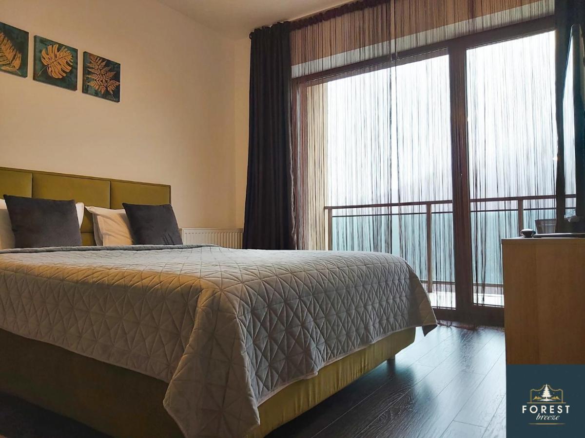 Forest Breeze Apartterrace Braşov Esterno foto